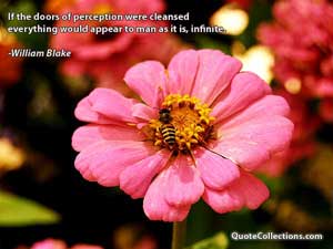 william_blake_quotes Quotes 4